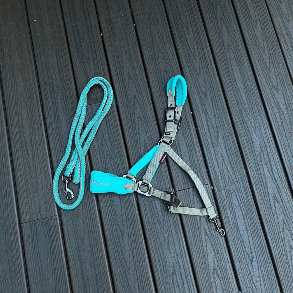 LeMieux Azure Halter With Lead Rope
